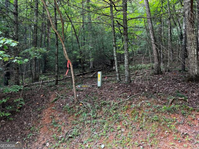 Land for sale in Ellijay, Gilmer County