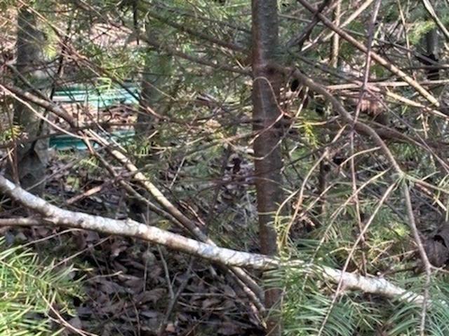 Land for sale in Belfair, Washington