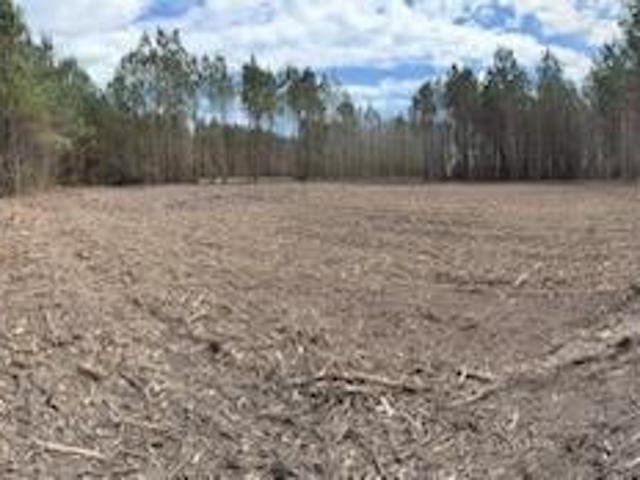 Land for sale in Shawboro, North Carolina