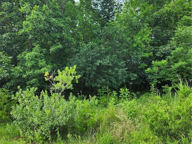 Land for sale in Kansas