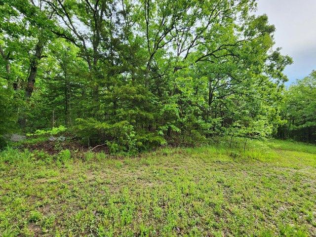 Land for sale in Hickory, Missouri