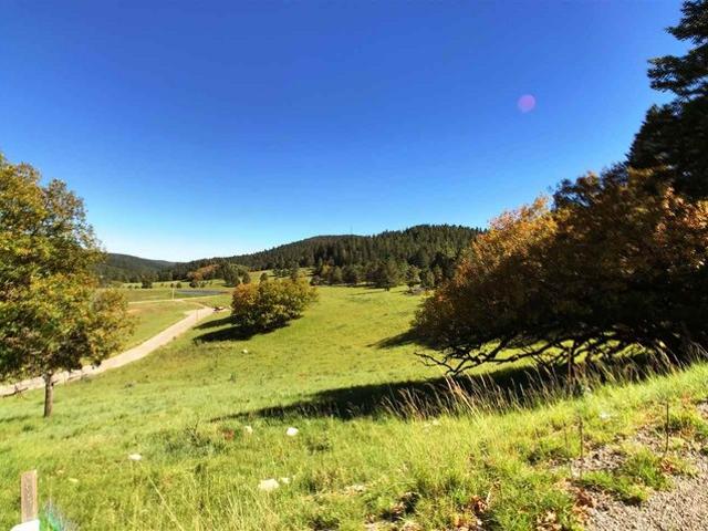 Land for sale in Cloudcroft, New Mexico