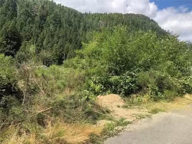 House for sale in Strathcona, British Columbia