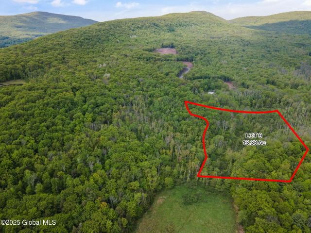 Land for sale in Ashland, New York