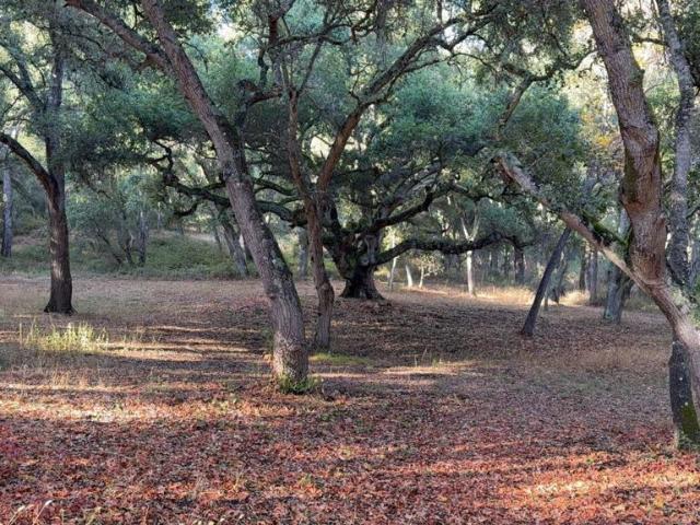Land for sale in Carmel, California