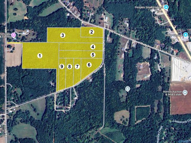 Land for sale in Alabama
