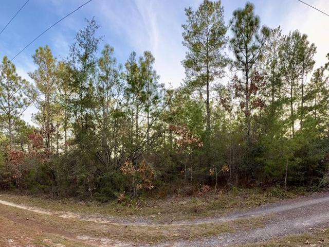 Land for sale in Walton, Florida
