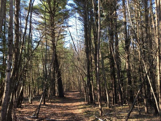 House for sale in Town of Esopus, Ulster County