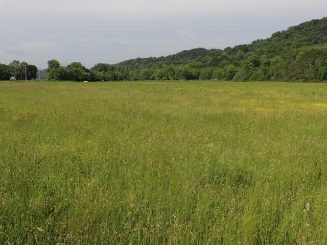 Land for sale in Lafayette