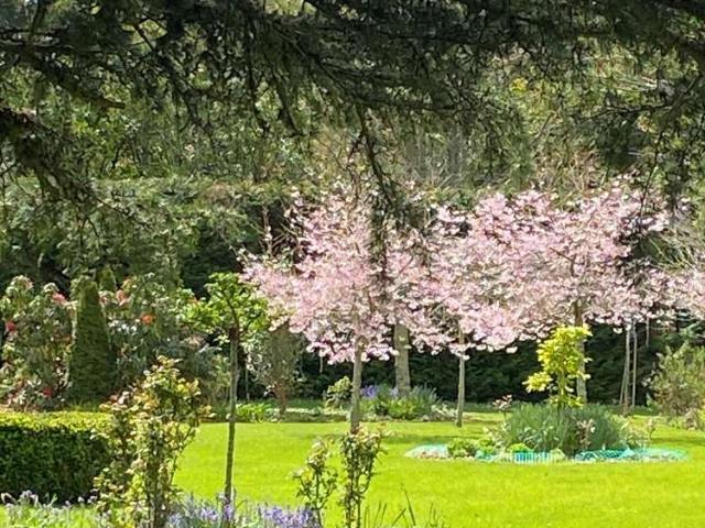 Property for sale in Awhitu