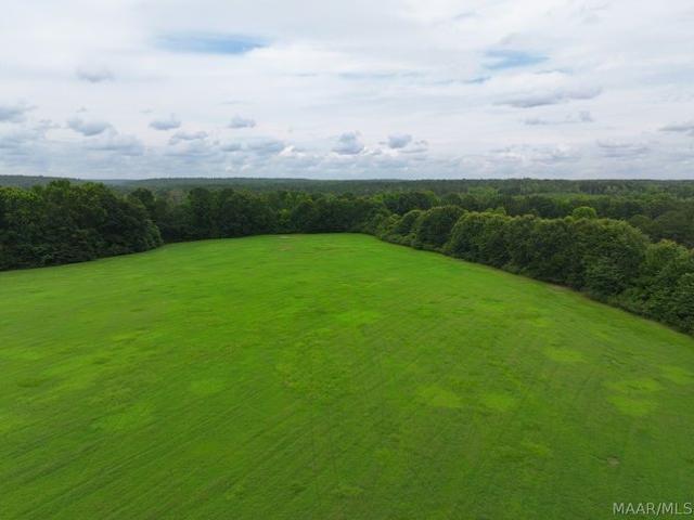 Land for sale in Notasulga, Alabama