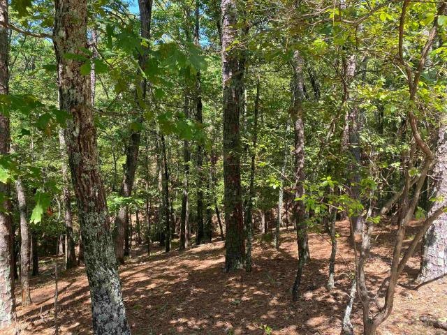 Land for sale in Ark