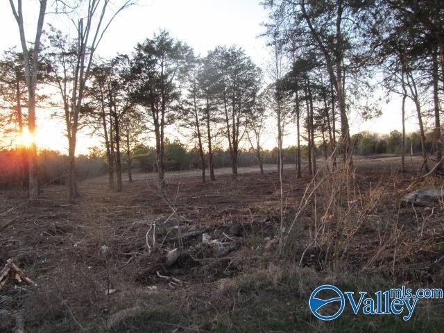 Land for sale in Albertville, Alabama