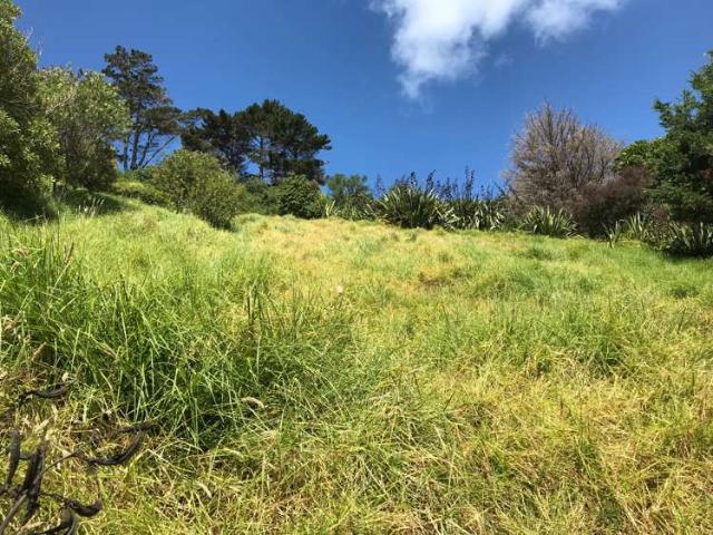 Property for sale in Auckland