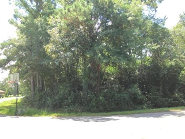 Land for sale in Dougherty, Georgia