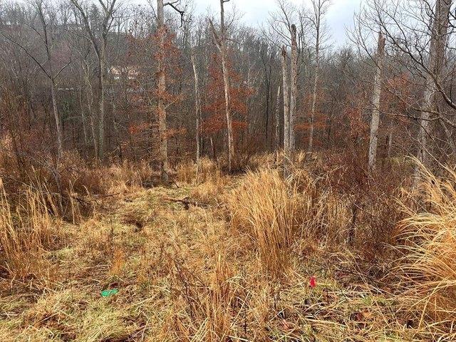 Land for sale in South Charleston, West Virginia