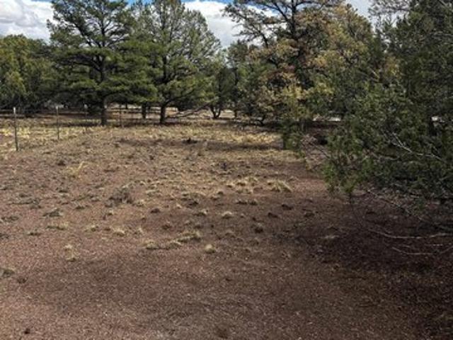 Land for sale in Catron, New Mexico