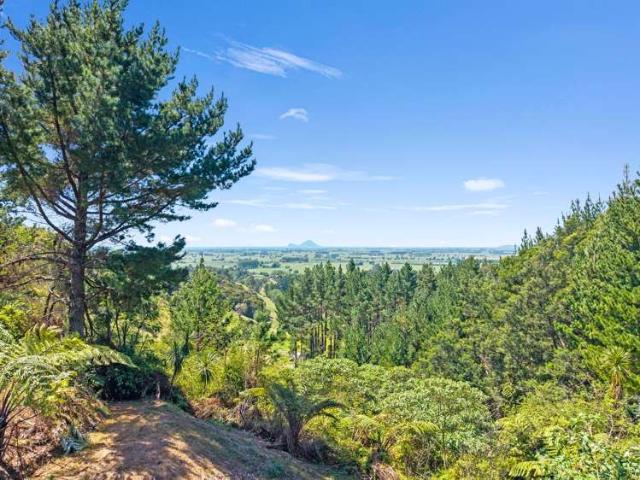 Property for sale in Bay Of Plenty