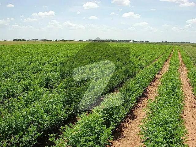 Land for sale in Okara, Islamabad Capital Territory
