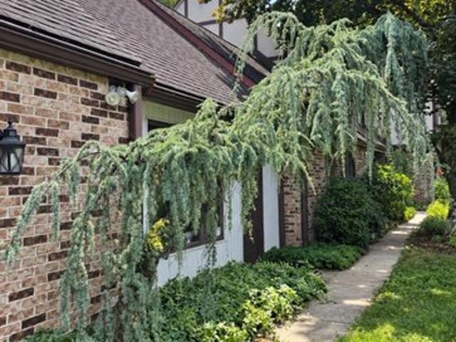 House for sale in Sinking Spring, Berks County