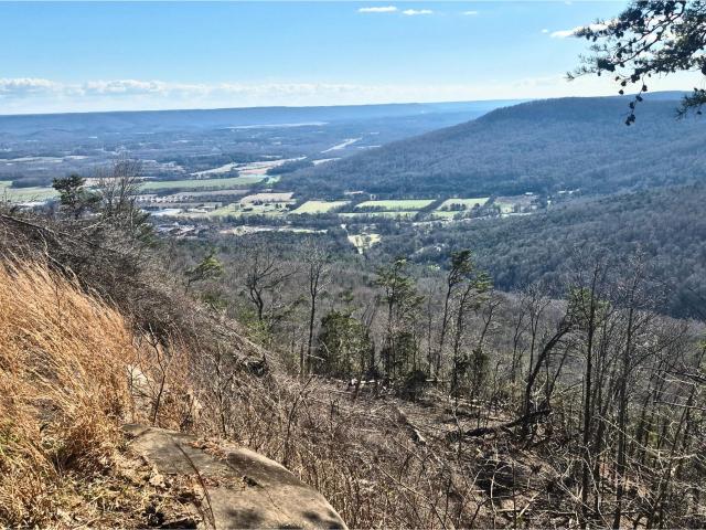 Land for sale in Tennessee
