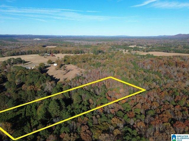 Land for sale in Ashville, Alabama