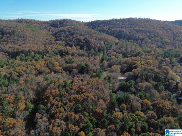 Land for sale in Ashville, Alabama
