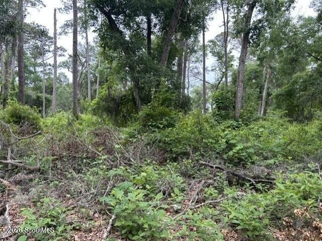 Land for sale in Darien, McIntosh County