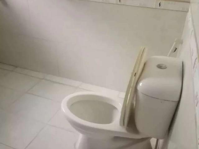 House for rent in بنی گالا, زون ۴