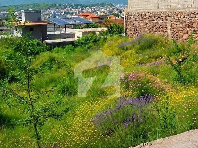 Property for sale in Islamabad