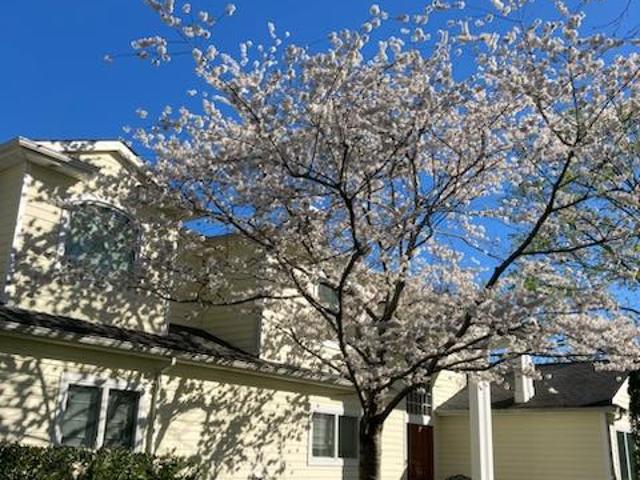 House for sale in Nassau, New York
