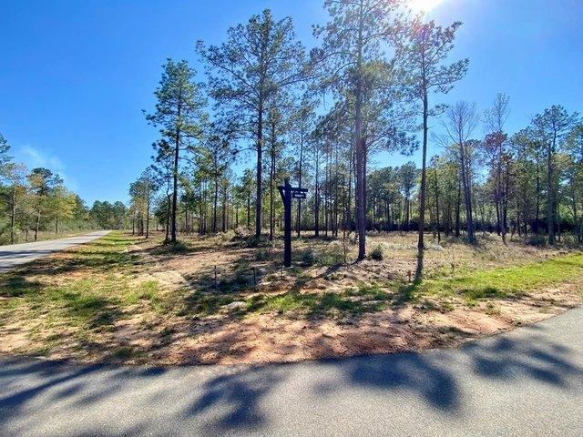 Land for sale in Carriere, Mississippi