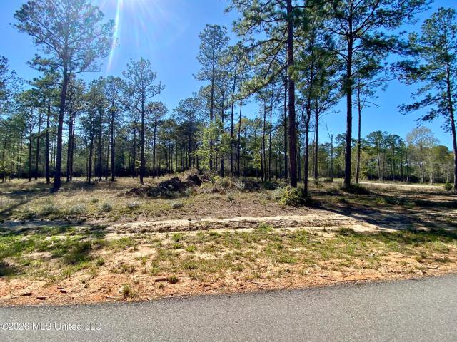 Land for sale in Carriere, Mississippi