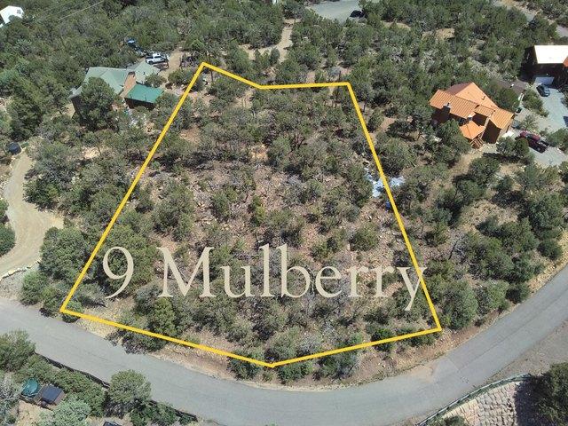Land for sale in Cedar Crest, New Mexico