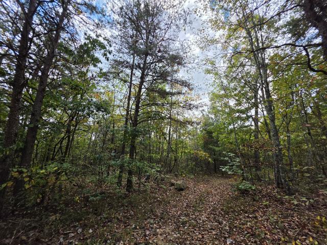 Land for sale in Altamont, Middle Tennessee