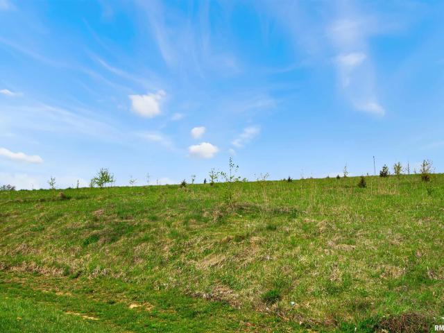 Land for sale in Princeville, Illinois