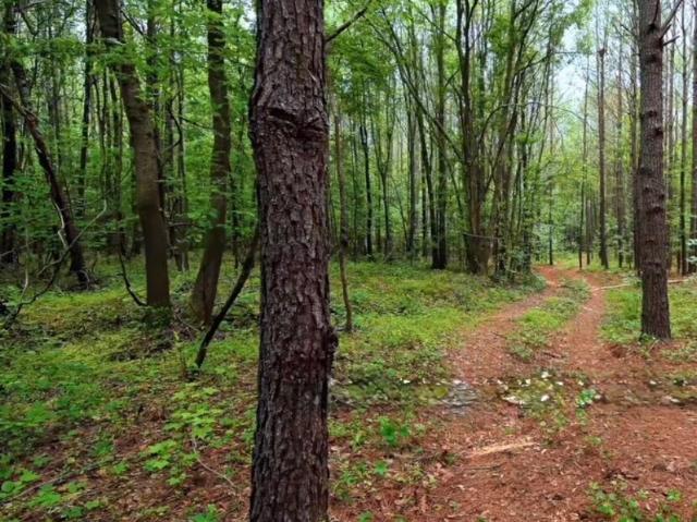 Land for sale in Bunn, North Carolina
