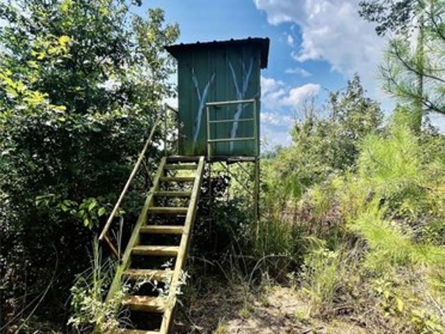 Land for sale in Corrigan, Polk County