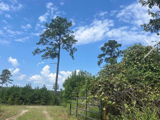 Land for sale in Corrigan, Polk County