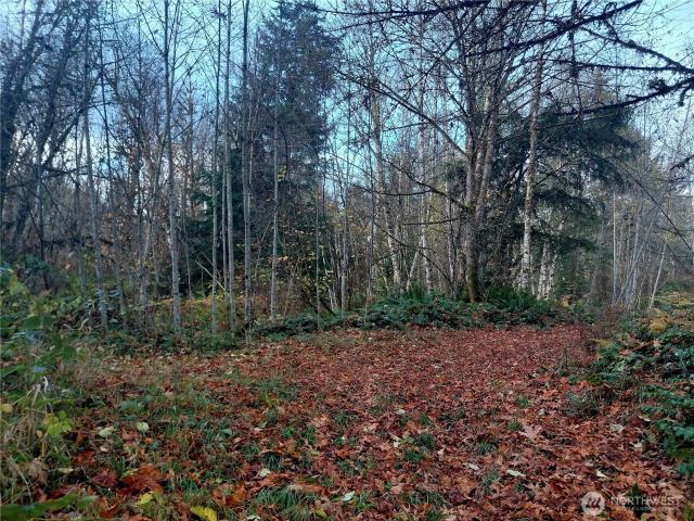 Land for sale in Glenoma, Washington