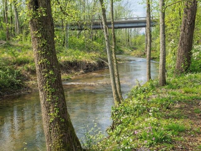 House for sale in Weaverville, North Carolina