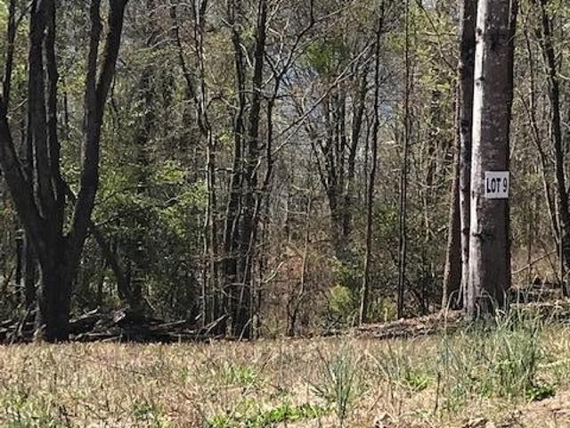 Land for sale in Tennessee