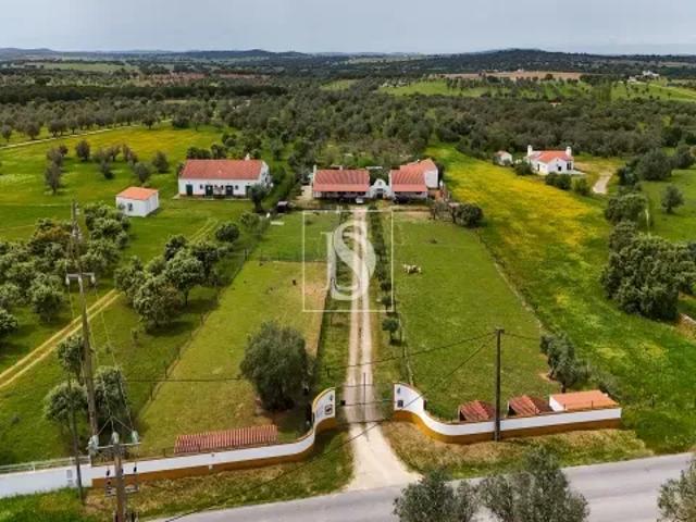 Terreno venda em Évora