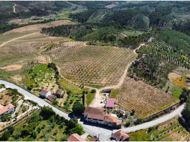 Terreno venda em Mação, Santarém