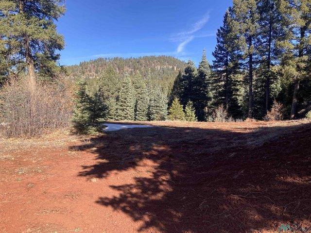 Land for sale in Chama, New Mexico