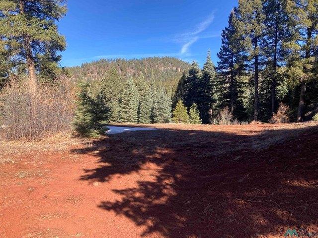 Land for sale in Chama, New Mexico