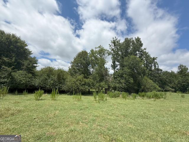 Land for sale in Nicholson, Georgia
