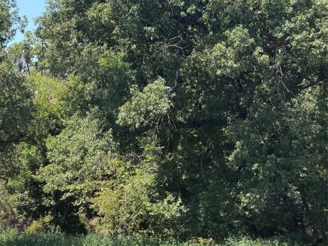 Land for sale in Broken Bow, Oklahoma