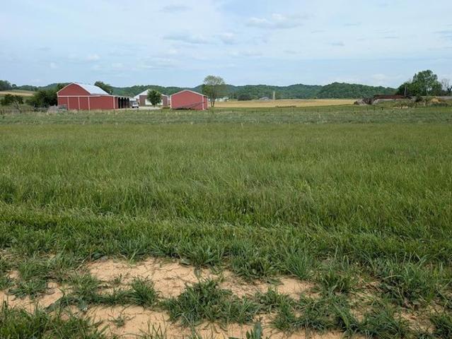 Land for sale in Burkesville, Kentucky