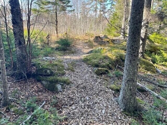 Land for sale in South Thomaston, Maine